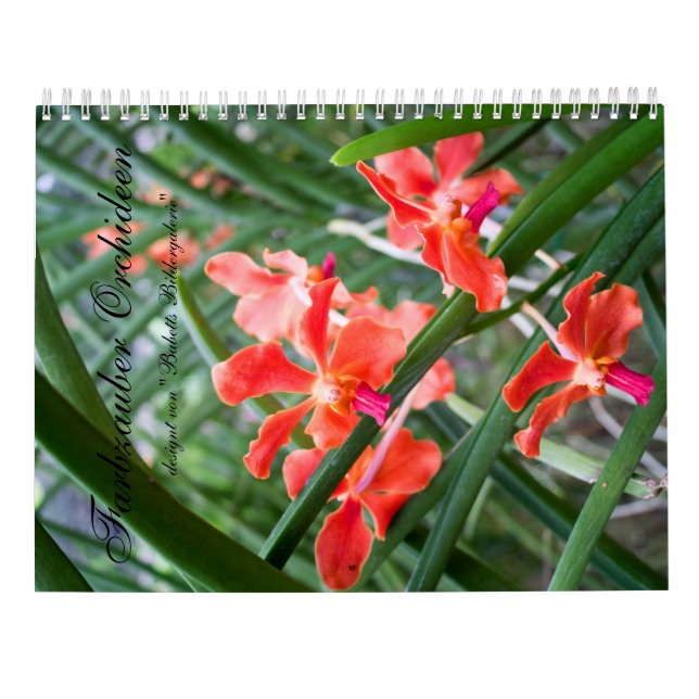 Calendario Farbzauber Orchideen (Reverso)