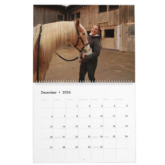 Calendario Fascination Haflinger (Dec 2026)