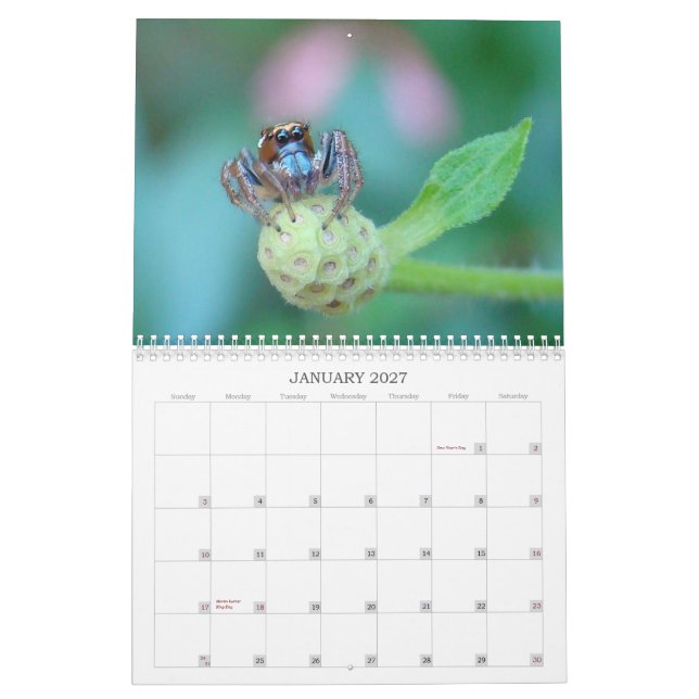 Calendario ¡Fastidíeme! (Jan 2027)