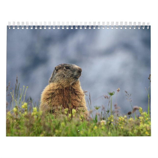 Calendario Fauna (Tapa)