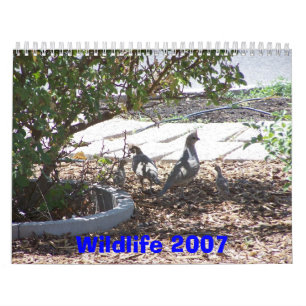 Calendario Fauna 2007