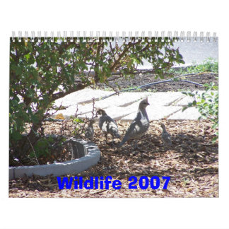Calendario Fauna 2007