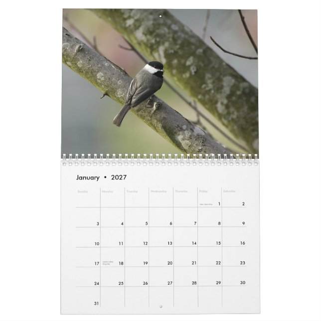 Calendario Fauna 2010 de Tennessee (Jan 2027)