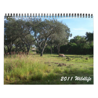 Calendario Fauna 2011