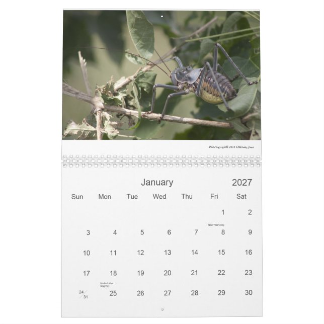 Calendario Fauna 2011/12 de Mapungubwe NP RSA (Jan 2027)