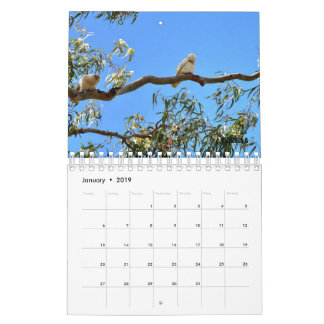 CALENDARIO FAUNA AUSTRALIANA