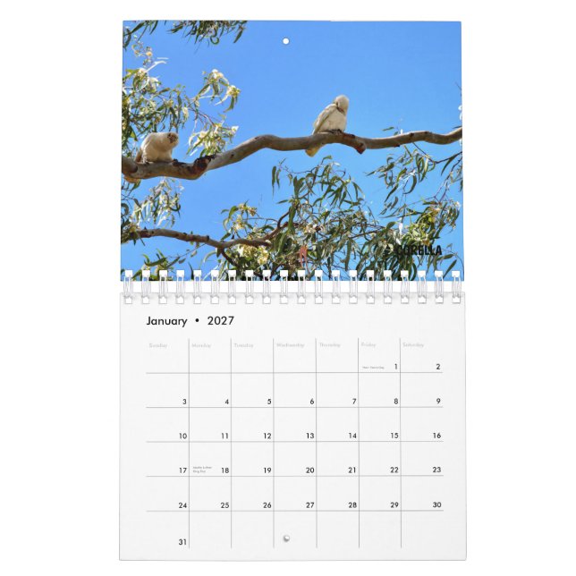 CALENDARIO FAUNA AUSTRALIANA (Jan 2027)