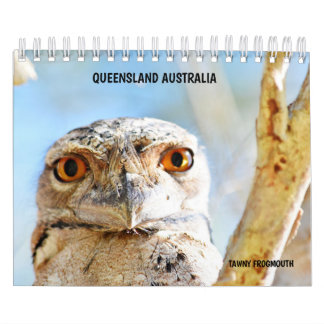 CALENDARIO FAUNA AUSTRALIANA