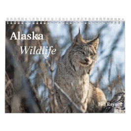 Calendario Fauna de Alaska