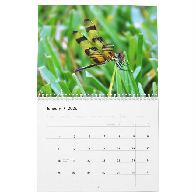 Calendario Fauna de la Florida (Jan 2026)