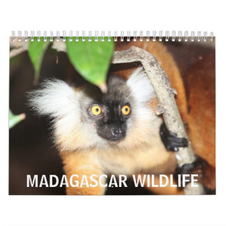 Calendario Fauna de Madagascar