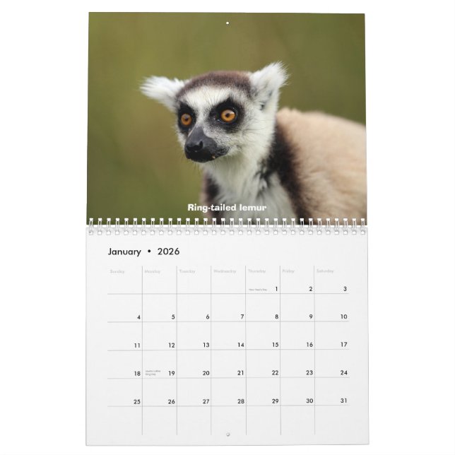 Calendario Fauna de Madagascar (Jan 2026)