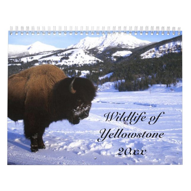 Calendario Fauna de Yellowstone (Tapa)