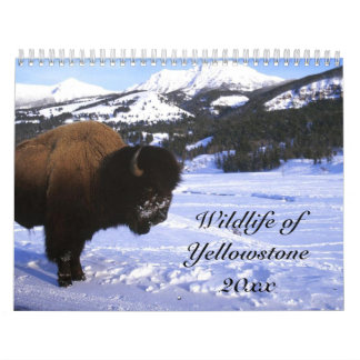 Calendario Fauna de Yellowstone