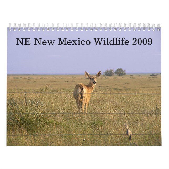 Calendario Fauna del noreste 2009 de New México (Tapa)