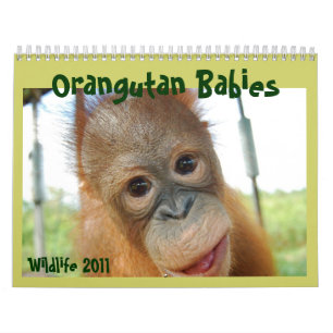 Calendario Fauna linda de los monos