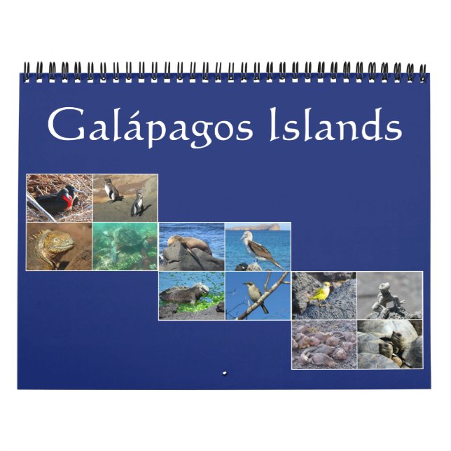 Calendario fauna silvestre de las galápagos 2026 (Tapa)