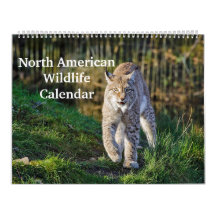 Fauna silvestre norteamericana