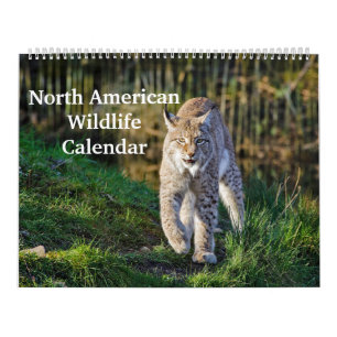 Calendario Fauna silvestre norteamericana