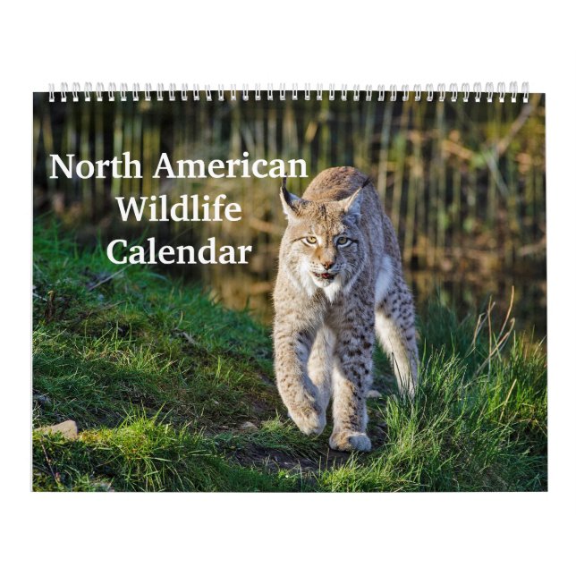 Calendario Fauna silvestre norteamericana (Tapa)