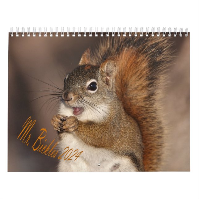 Calendario Fechas canadienses 2024, Medium, pared del Sr. Bic (Tapa)
