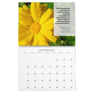Calendario Feldy 2027: un año en flor