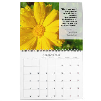 Calendario Feldy 2027: un año en flor