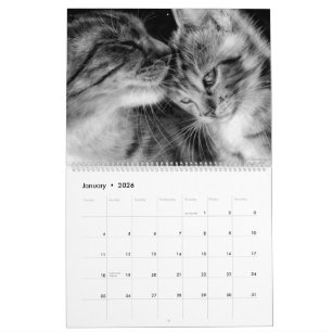 Calendario Felinos salvajes y domésticos con gatos de mano
