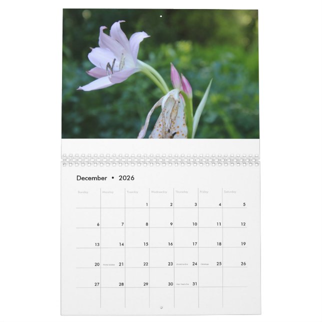 Calendario Feliz Año Nuevo Año Natural 2025 (Dec 2026)