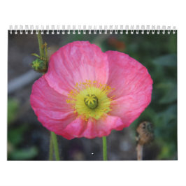 Calendario Feliz Año Nuevo Año Natural 2025