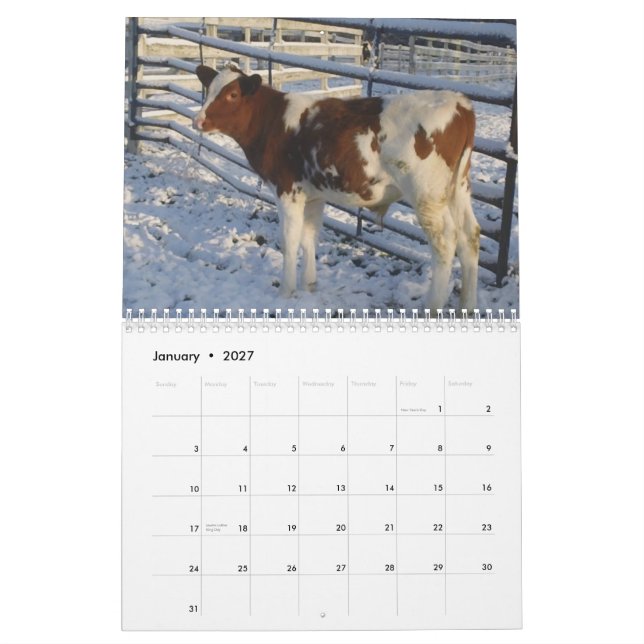 Calendario feliz de la vaca del ~ 2013 de las (Jan 2027)