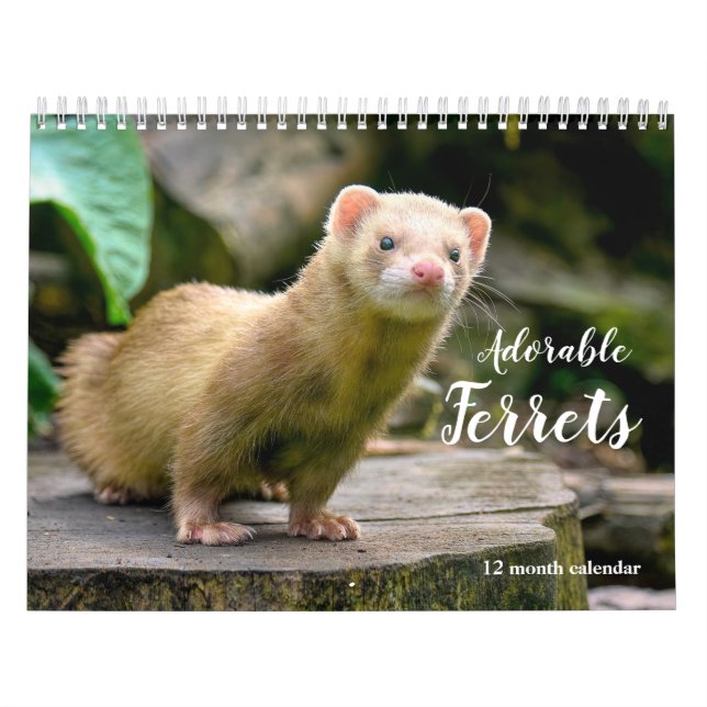Calendario Ferrets Adorables 2026 (Tapa)