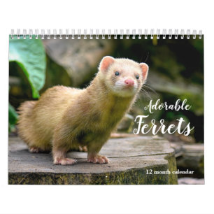 Calendario Ferrets Adorables 2026