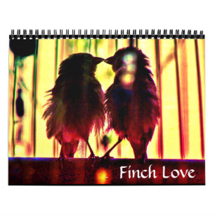 Calendario Finch Love