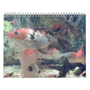 Calendario Fish Koi Calendar