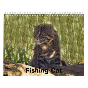 Calendario FishingCat008, pescando el gato