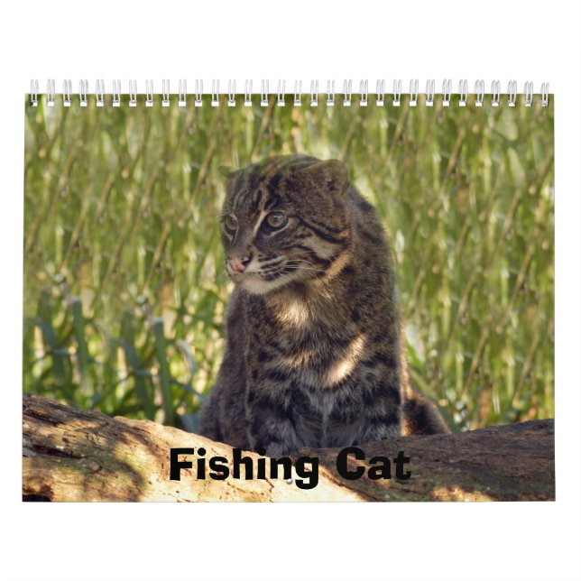 Calendario FishingCat008, pescando el gato (Tapa)