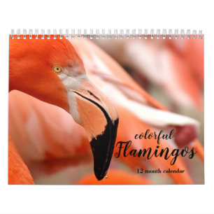 Calendario Flamencos coloridos 2026