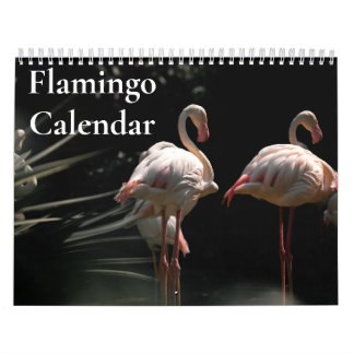 Calendario Flamingo 2025
