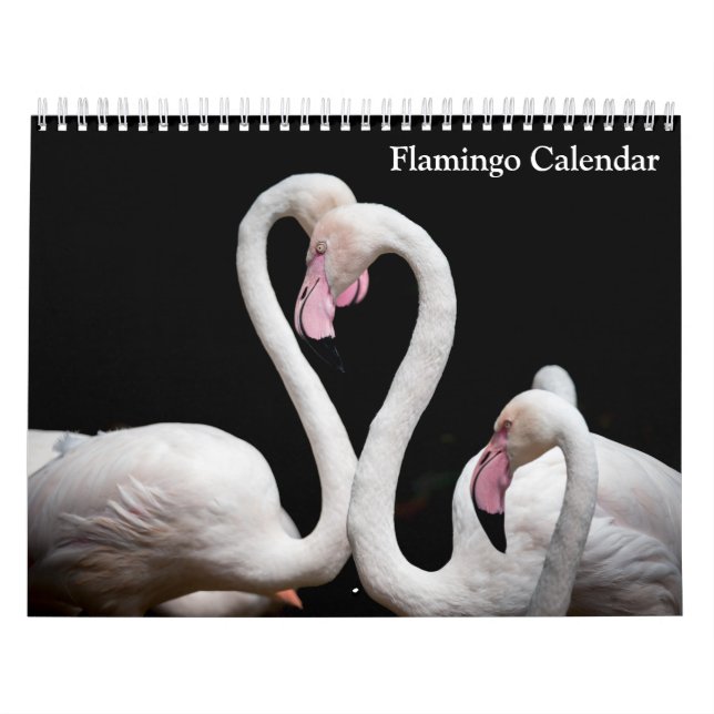 Calendario Flamingo 2025 (Tapa)