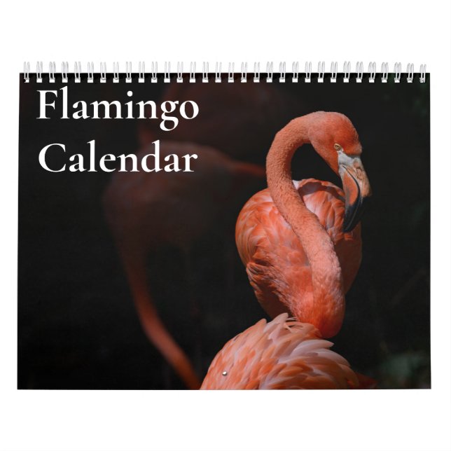 Calendario Flamingo 2025 (Tapa)