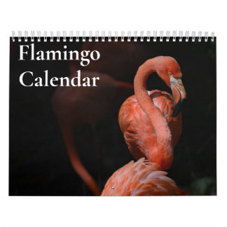Calendario Flamingo 2025