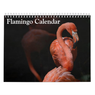 Calendario Flamingo 2025