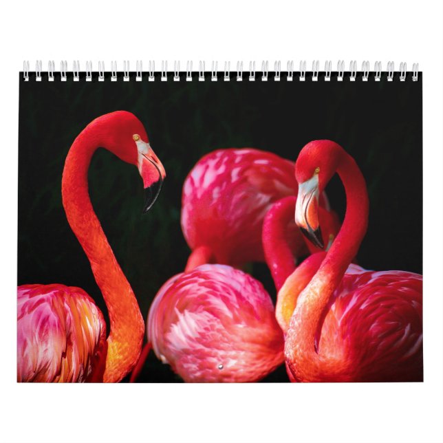Calendario Flamingo rosa tropical moderno (Tapa)