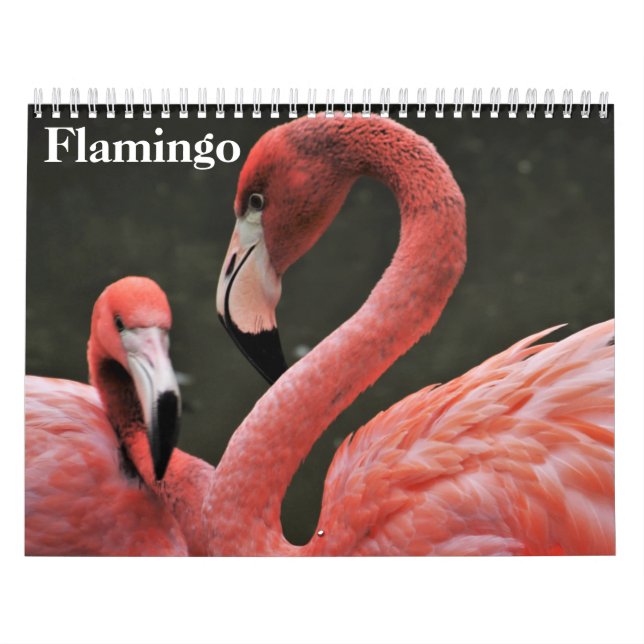 Calendario Flamingos 2025 (Tapa)