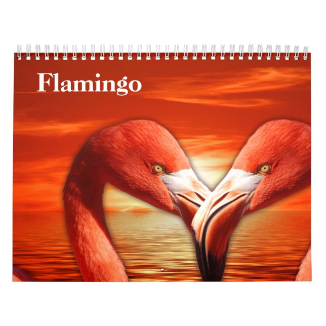 Calendario Flamingos 2025 (Tapa)