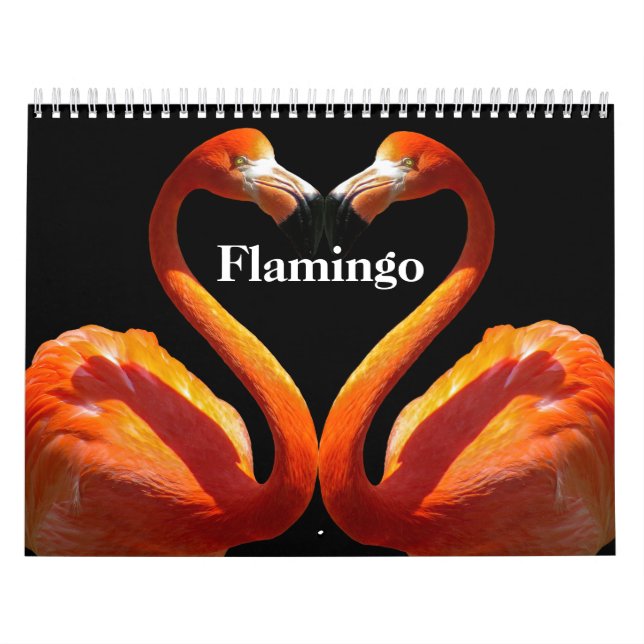 Calendario Flamingos 2025 (Tapa)