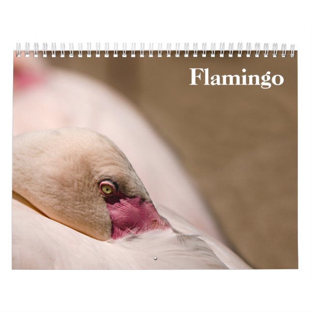 Calendario Flamingos 2025 (Tapa)