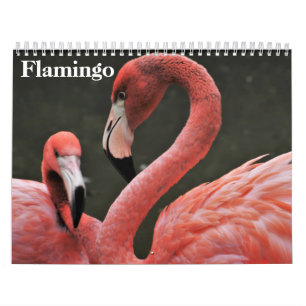Calendario Flamingos 2027