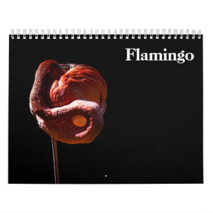 Calendario Flamingos 2027